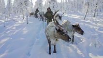 Великий северный путь