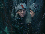 В лесах под Ковелем