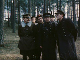 В лесах под Ковелем