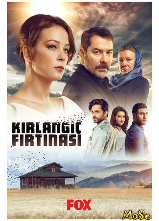 кино Шторм ласточки (Kirlangic Firtinasi: Kırlangıç Fırtınası) 07.10.20