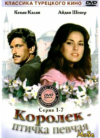 кино Королёк — птичка певчая (Calikusu: Çalıkuşu) 08.10.20