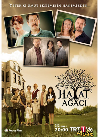 кино Дерево жизни (Hayat Agaci: Hayat Ağacı) 20.10.20