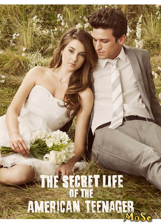 кино Втайне от родителей (The Secret Life of the American Teenager) 04.11.20