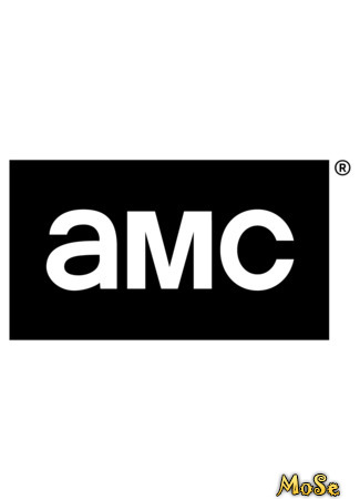 Производитель AMC 22.11.20