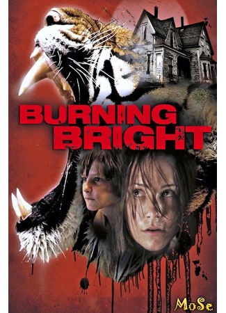 кино Во власти тигра (Burning Bright) 23.12.20