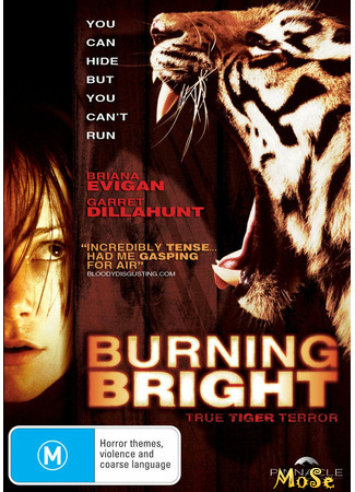 кино Во власти тигра (Burning Bright) 23.12.20