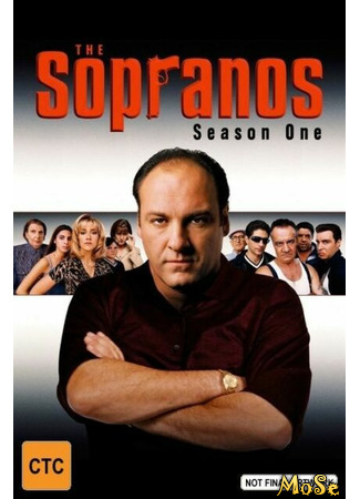 кино Клан Сопрано (The Sopranos) 16.01.21