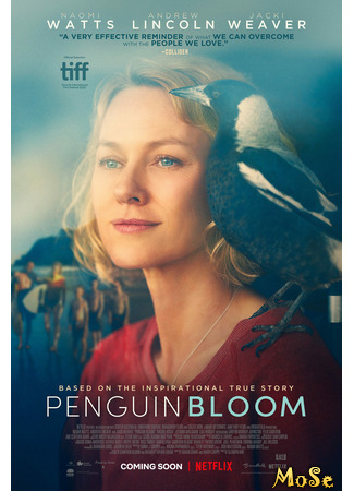 кино История семьи Блум (Penguin Bloom) 30.01.21