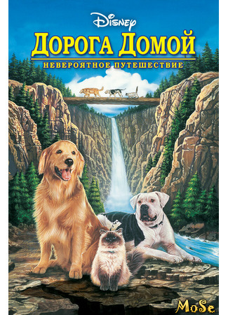 кино Дорога домой: Невероятное путешествие (Homeward Bound: The Incredible Journey) 08.04.21