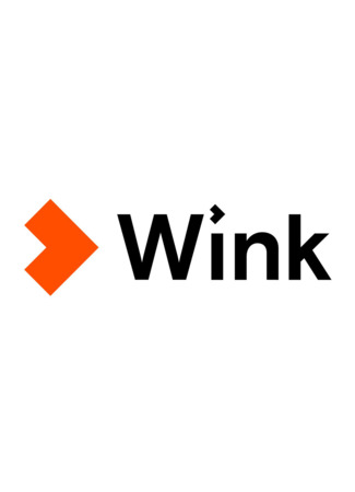 Производитель Wink 31.01.24