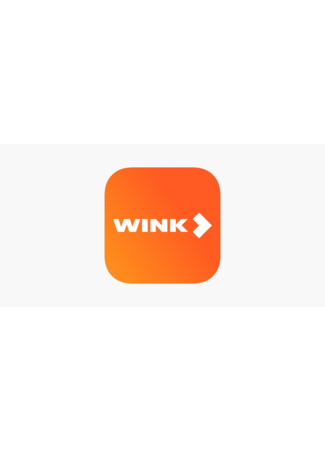 Производитель Wink 31.01.24