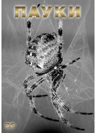 кино Пауки (Spiders) 28.02.24