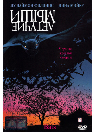 кино Летучие мыши (Bats) 28.02.24