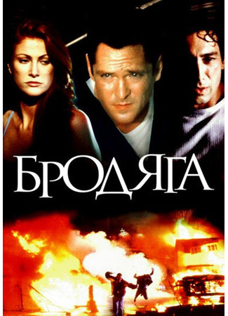 кино Бродяга (The Stray) 29.02.24