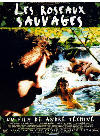 кино Дикий тростник (Les roseaux sauvages) 29.02.24