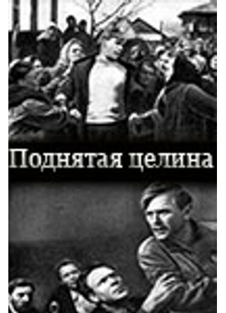 кино Поднятая целина 01.03.24