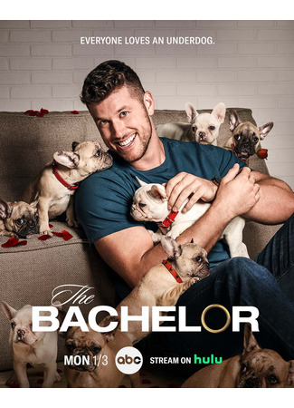 кино Холостяк (The Bachelor) 03.06.24