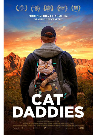 кино Котики (Cat Daddies) 08.06.24