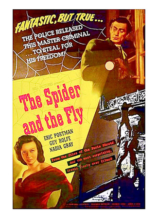 кино Паук и муха (The Spider and the Fly) 17.06.24