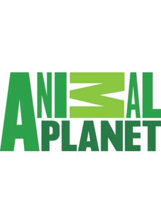 Производитель Animal Planet 11.07.24