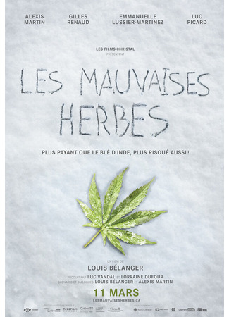 кино Плохие семена (Les mauvaises herbes) 31.07.24