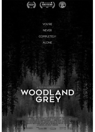 кино Woodland Grey 31.07.24