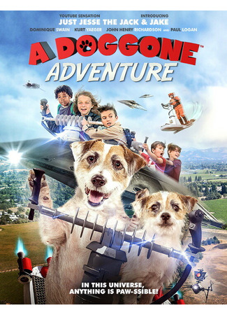 кино A Doggone Adventure 31.07.24