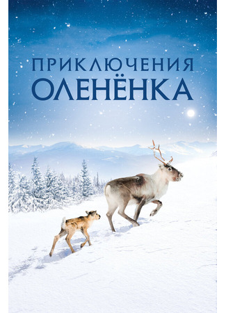 кино Приключения олененка (Aïlo: Une odyssée en Laponie) 31.07.24