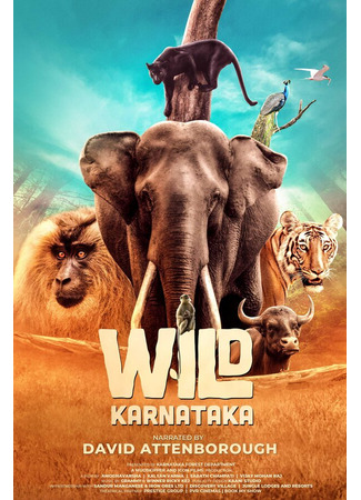 кино Дикая Карнатака (Wild Karnataka) 31.07.24