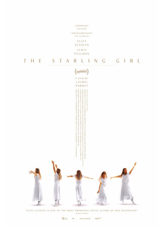 кино Девушка по фамилии Старлинг (The Starling Girl) 31.07.24