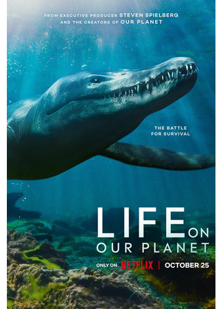 кино Жизнь на нашей планете (Life on Our Planet) 28.10.24