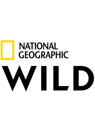 Производитель Nat Geo Wild 05.12.24